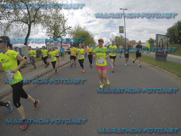 2863 - WFLWR 2017