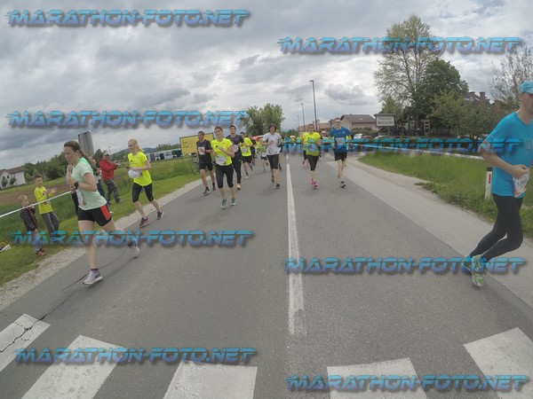 4669 - WFLWR 2017